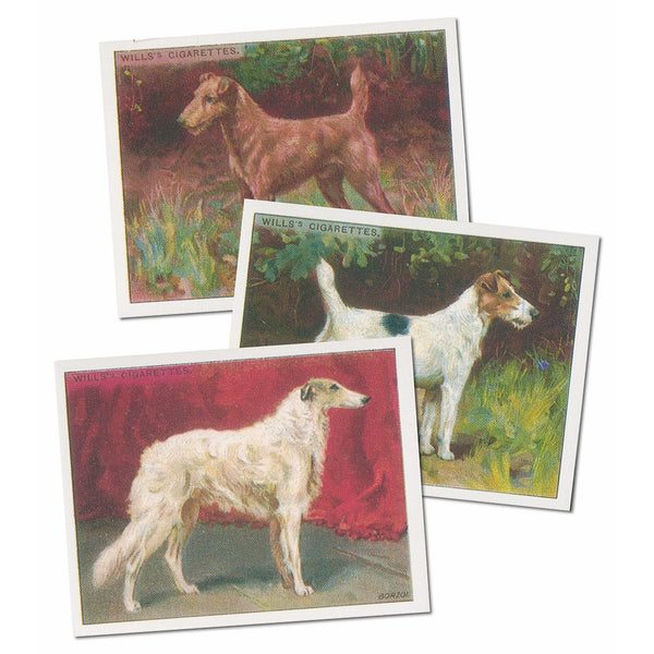 Dogs 1914 Reproduction Set of 25 cards