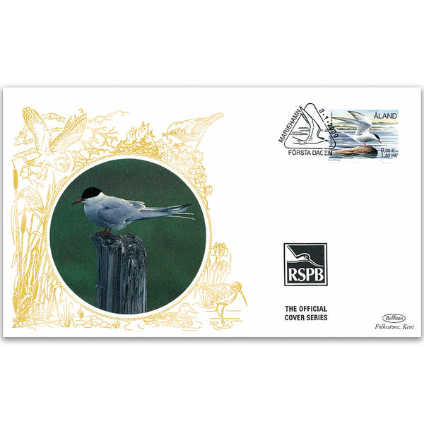 2000 Aland - Arctic Tern - Benham RSPB Official