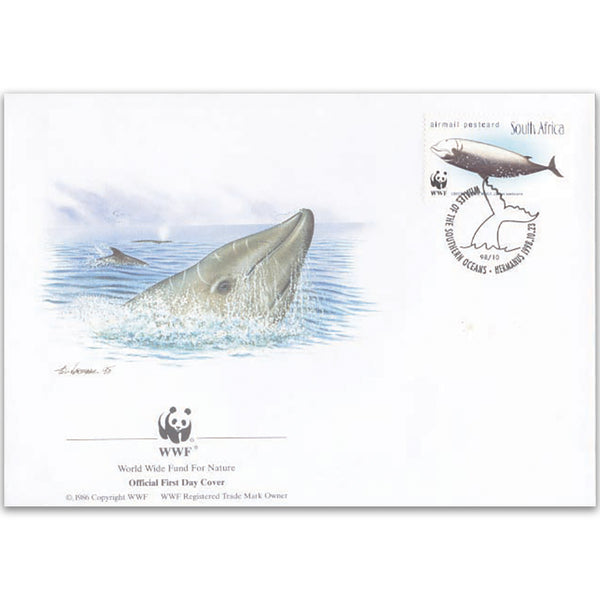 1998 South Africa - Cuvier's Beaked Whale