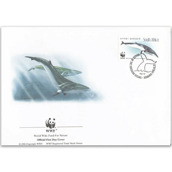 1998 South Africa - Minke Whales