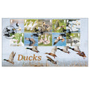 2025 Ducks Stamps BLCS 5000