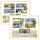 2025 Ducks Collector Sheet GOLD 500 Pair of Covers