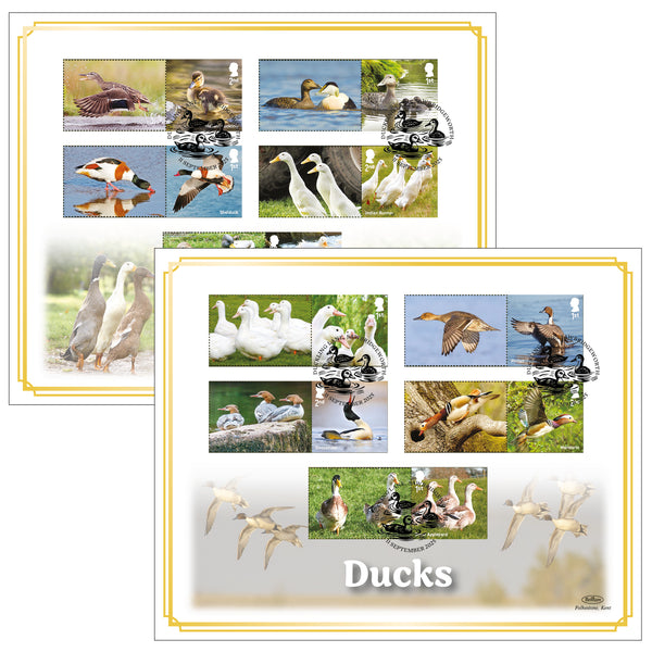 2025 Ducks Collector Sheet BLCS Pair of Covers