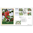 2014 Post & Go Winter Greenery BLCS 5000 Signed Holly Weston