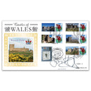 2010 Castles of Wales (Criccieth) Generic Sheet BLCSSP - Signed John Humphreys