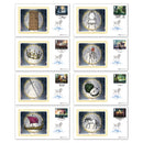 2025 Narnia Stamps BS Set