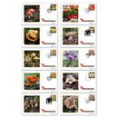 2025 Mushrooms Stamps BS Set