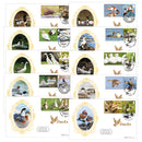 2025 Ducks Collector Sheet BSSP Set