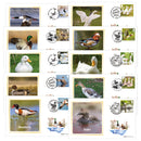 2025 Ducks Stamps BS Set