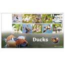 2025 Ducks Stamps Coin Covers