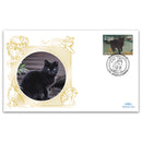 2010 Antigua & Barbuda - Nonpedigree Black_CT10118