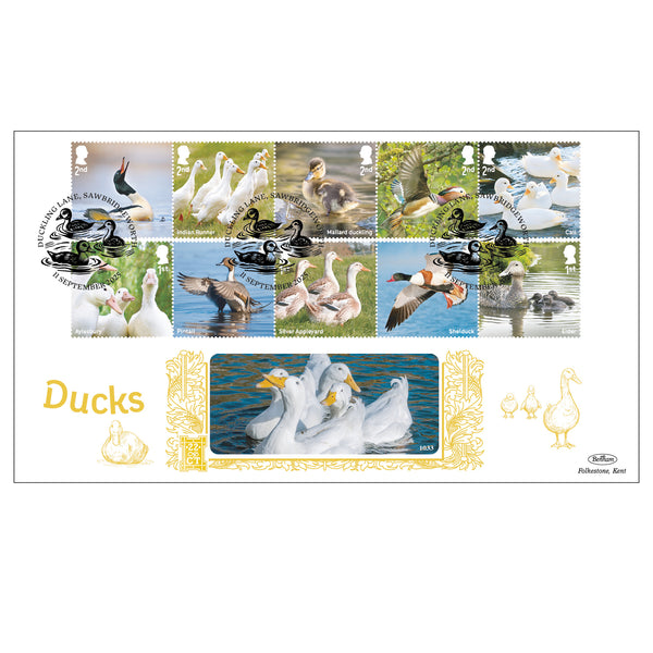2025 Ducks Stamps GOLD 500