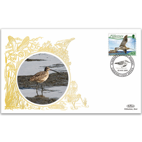 2009 Alderney - Curlew