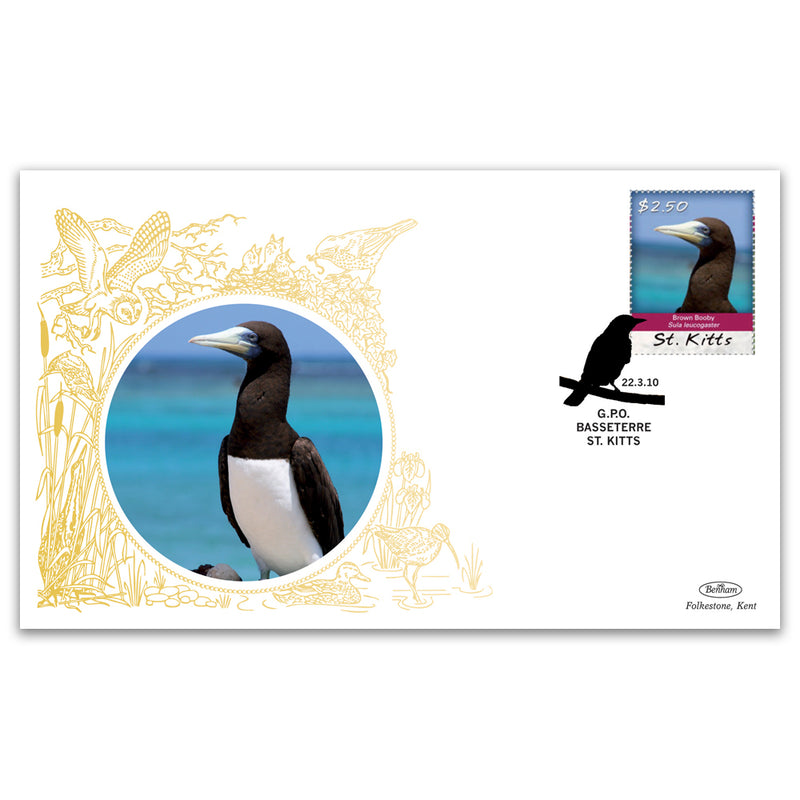 2010 St. Kitts - Brown Booby
