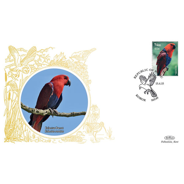 Palau Birds - Eclectus Parrot