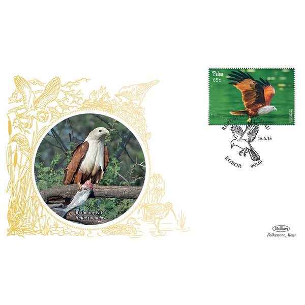 Palau Birds - Brahminy Kite