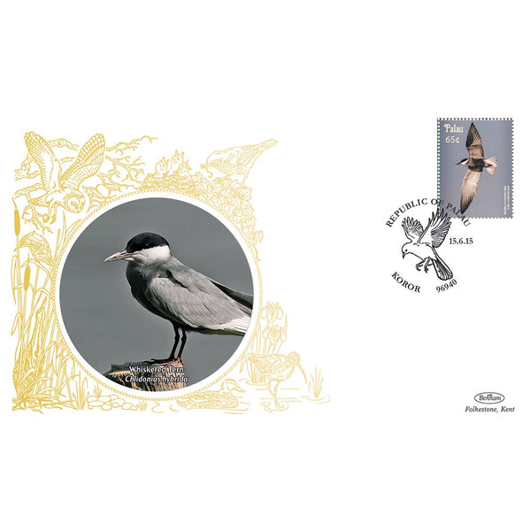 Palau Birds - Whiskered Tern