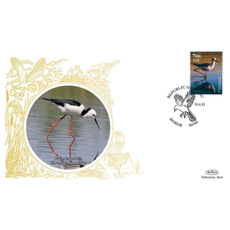 Palau Birds - Black winged Stilt