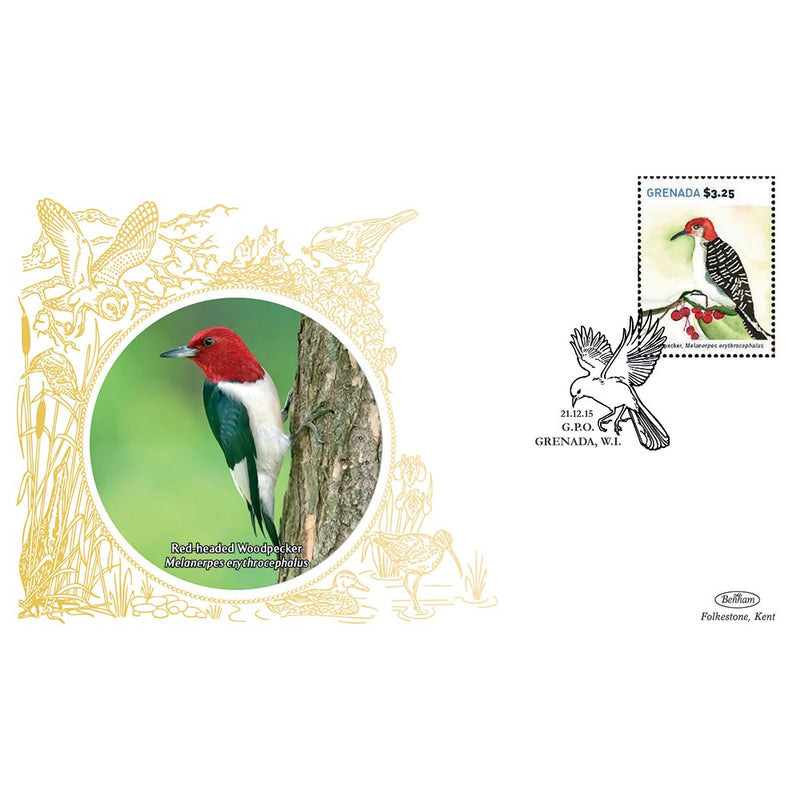 Grenada Birds - Red Headed Woodpecker