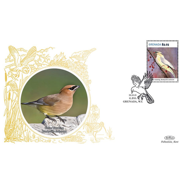 Grenada Birds - Cedar Waxwing