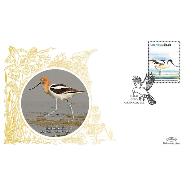 Grenada Birds - American Avocet