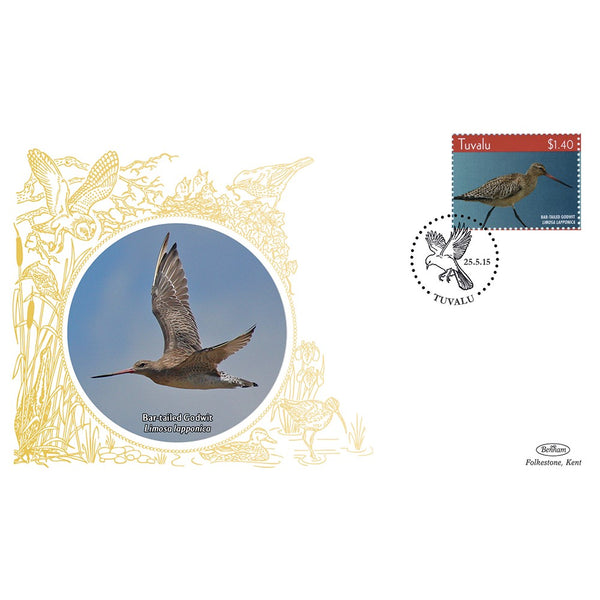 Tuvala Birds - Bar Tailed Godwit