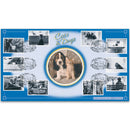 2001 Cats & Dogs BLCS 2500