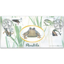 2001 Europa: Pondlife BLCS - Liverpool