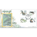 2001 Pondlife BLCS 2500 2ND PM