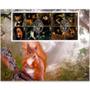 2004 Woodland Animals BLCS 5000