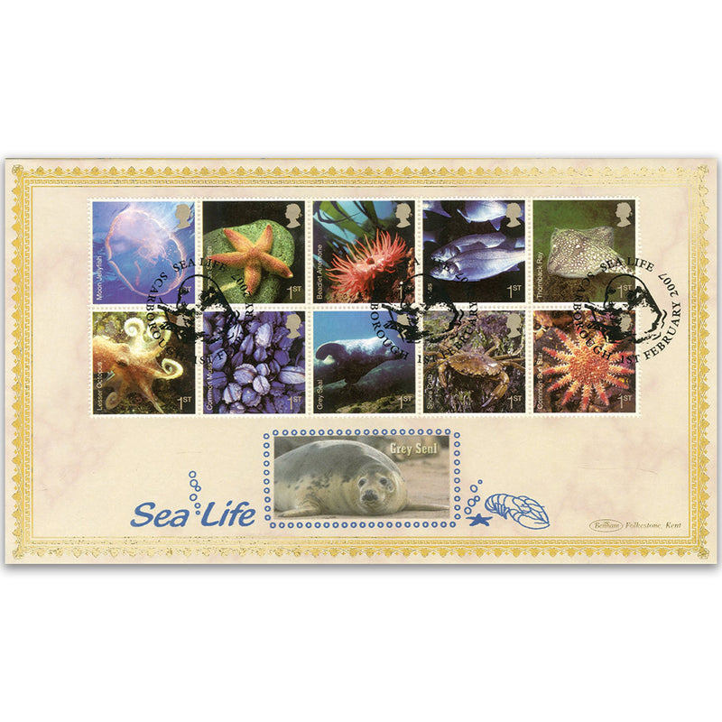 2007 Sea Life BLCS 5000