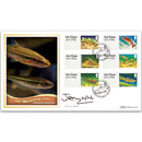 2013 Post & Go freshwater Life - Rivers BLCS 2500 Signed Jeremy Wade