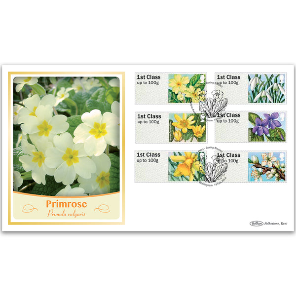 2014 Post & Go British Flora-Spring Blooms BLCS 2500