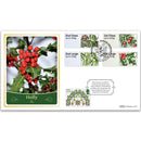 2014 Post & Go Winter Greenery BLCS5000