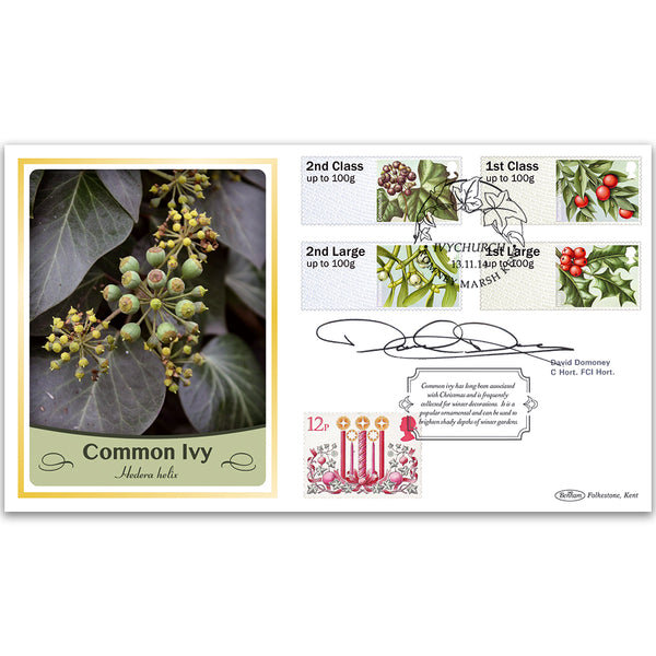 2014 Post & Go Winter Greenery BLCS 2500 - Signed by David Domoney