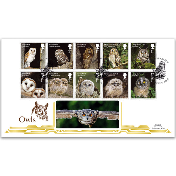 2018 Owls Stamps BLCS 5000