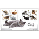 2022 Cats Stamps BLCS 5000