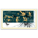 2023 Harry Potter M/S BLCS 2500