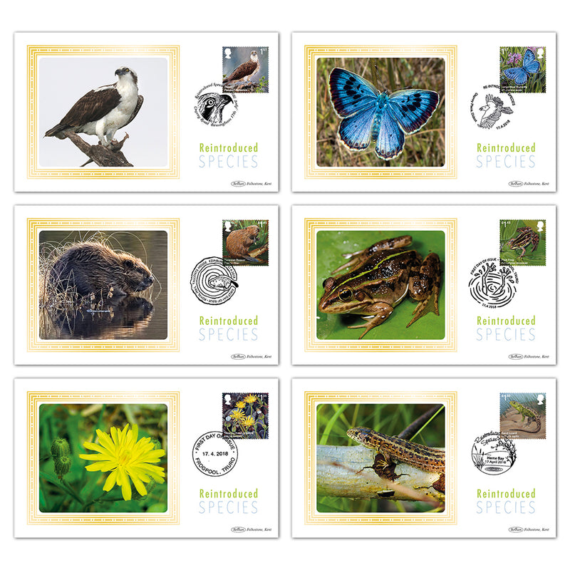 2018 Reintroduced Species BS Set