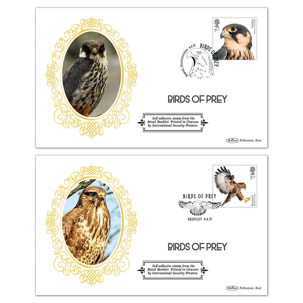 2019 Birds of Prey Retail Booklet BSSP Pair of Covers