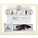 2013 Palau 'Cats of the World' M/S Special Coin Cover