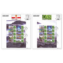 Glorious N.Ireland Large Cards x 2