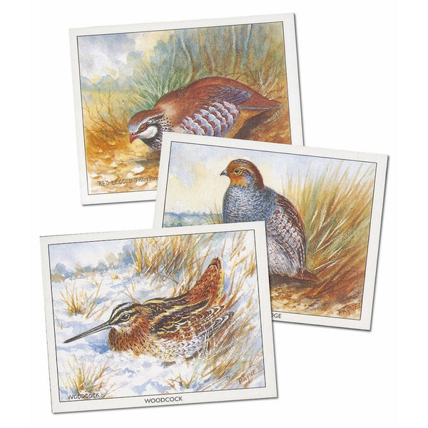 Game Birds (E270) Set of 6 Cards