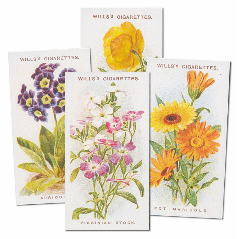 Old English Garden Flowers Reproduction Set of 50 cards