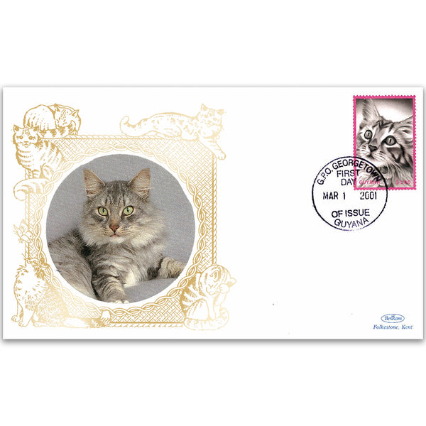 2001 Guyana - Maine Coon Tabby