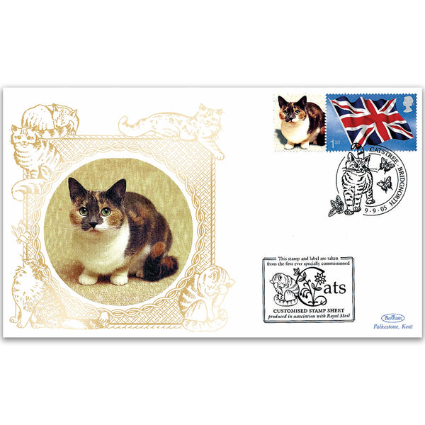 2005 GB Cats - Catstree, Bridgenorth handstamp