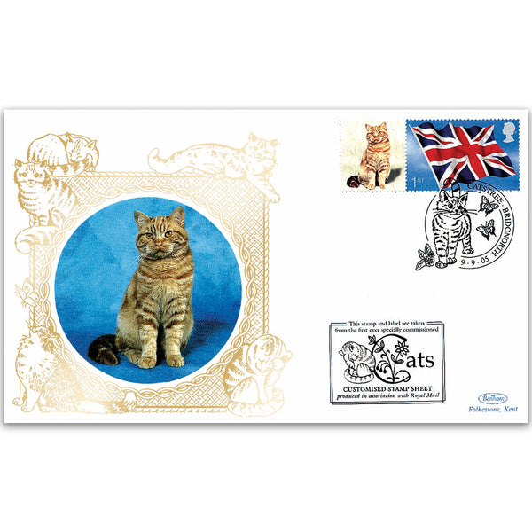 2005 GB Cat cover - Red Tabby Shorthair