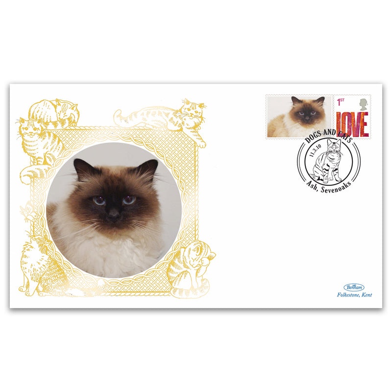 2010 GB Cats - Birman