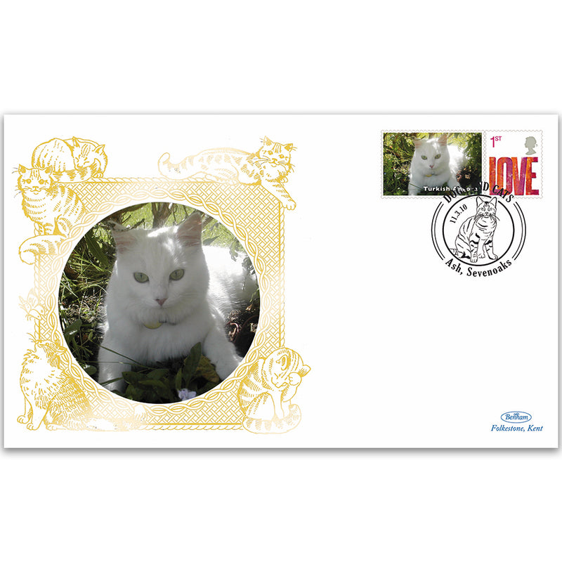 2010 Great Britain - Turkish Angora Cat