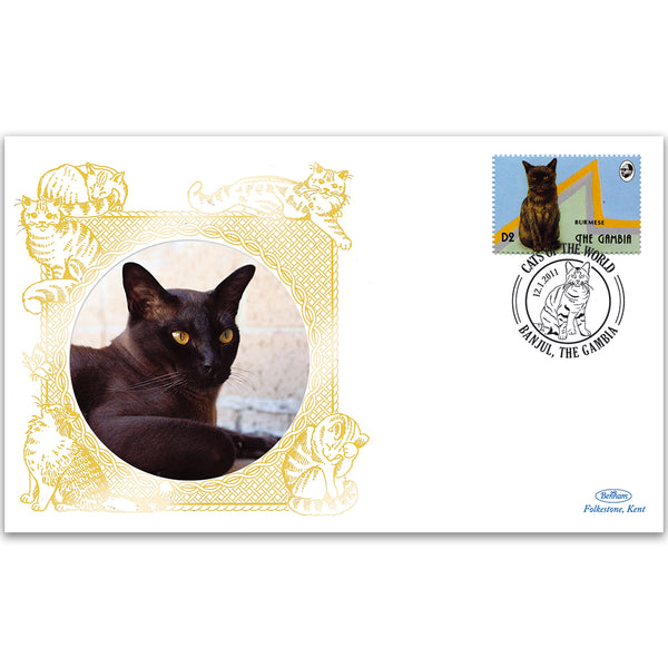 2012 Gambia - Burmese Cat